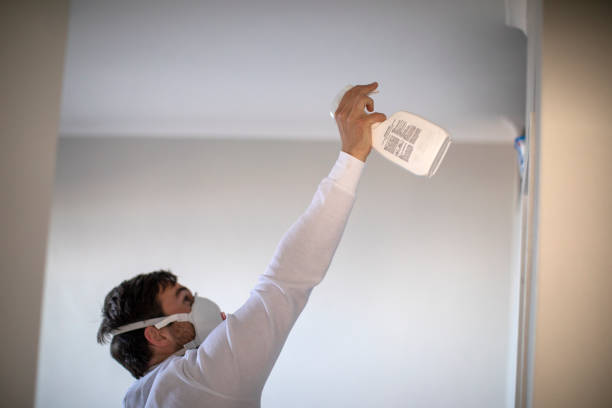 Best Residential Mold Removal  in Conway, AR