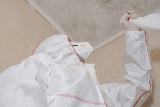 Conway, AR Mold Removal Company